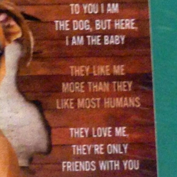 Doggie puzzle, where the dog rules the home - Picture 3 of 5